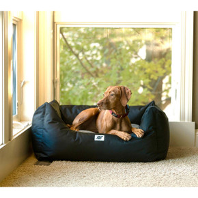 ROCT St. Croix Dog Bed Lifestyle Image