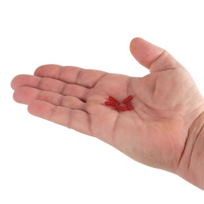 Berkley PowerBait Power Wigglers In Hand Image in Red