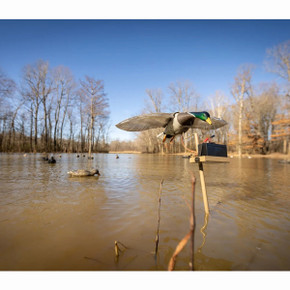 Higdon Outdoors Clone Water Stand Field Image