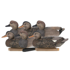 Zink Gadwall Hunter Series Floating Duck Decoys Image