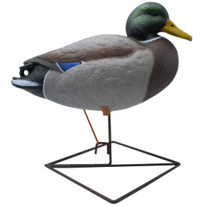 Resting Image of the Final Approach HD Full Body Mallard Decoy.