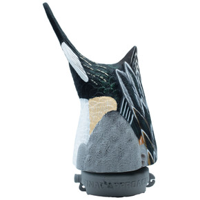 Final Approach HD Pintail Duck Butts