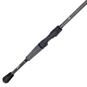 Lews TP2 2-Piece Spinning Rods Main Image