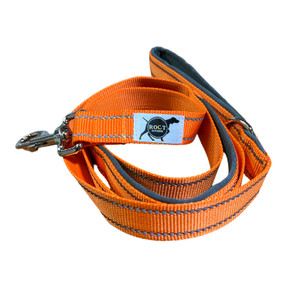 ROCT Trailhead Dog Leash with Padded Heel Handle, Orange Image