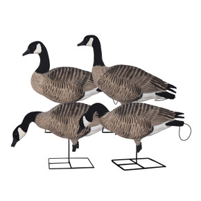 Avery Pro Grade XD FFD Canada Goose Harvester Full Body Decoys, 4 Pack Image