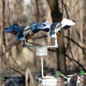 Avian-X Powerflight Motion Stand Lifestyle Image