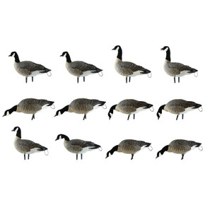 Image of Avian-X AXP Lesser Canada Goose Decoys 12 Pack.