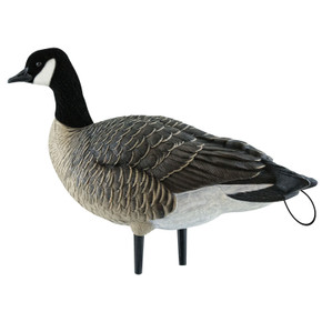 Avian-X AXP Lesser Canada Goose Decoy Walker Image
