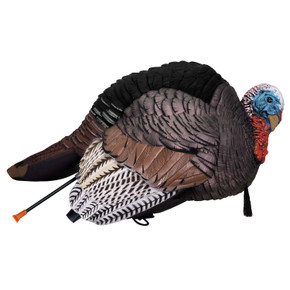 Side Image of the Hard Body Breeding Jake Turkey Decoy.