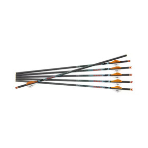 Image of the Ravin 20" XK5 500 Grain .001 Arrows.