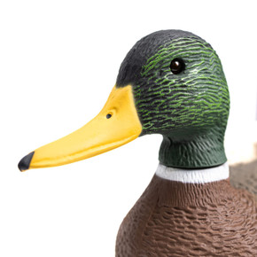 Front Head Image of the G&H Decoys Premier Series Magnum Mallard Drake Decoy.