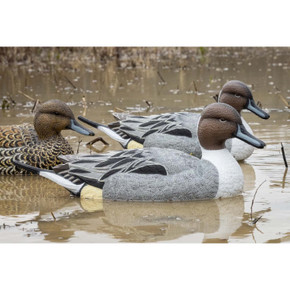 Field Image of the Higdon Outdoors Legacy Magnum Pintail Foam-Filled Floating Drakes.