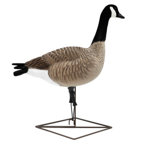 Sentry Image of the Live Full-Body Fully Flocked Honkers.