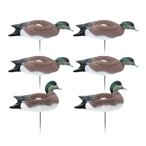 6 Pack Image of the HD Full Body Wigeon Duck Decoys.