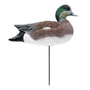 Right Side Upright Drake Image of the HD Full Body Wigeon Duck Decoys.