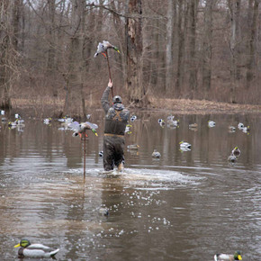 Field Image of the Flasher Pro Replacement Stake.