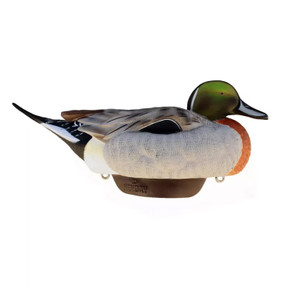 Rester image of the Heyday Outdoor HydroFoam Pintail Mallard Hybrid, 6 Pack.