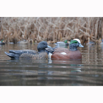 GHG Life-Size Wigeons, 6 Pack In-the-Water Image