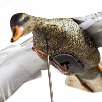 Clone Mallard Hen Flapping Decoy