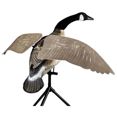 Lucky Flapper Canada Goose Decoy with Remote