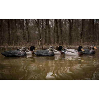 Battleship Foam Filled Powers' Pack, 3 Mallard Drakes and 3 Black Ducks