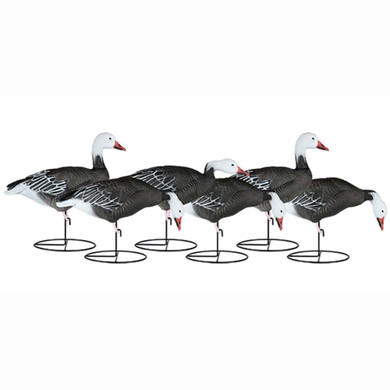 Migration Series Blue Goose Decoys, 6 Pack