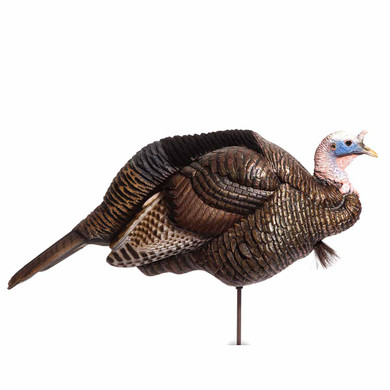 Dave Smith Decoys White Face 3/4 Strut Jake Decoy Main Image