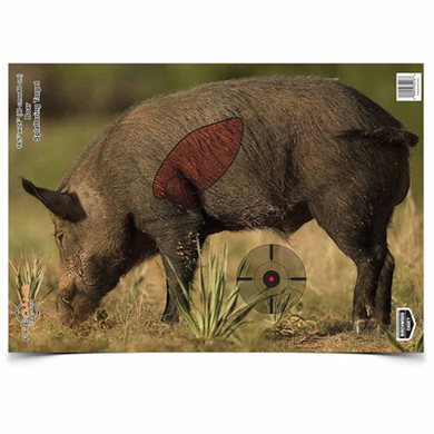 Pregame Boar Paper Target - 3 Pack