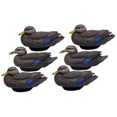 FlexFloat Black Ducks - 6 Pack