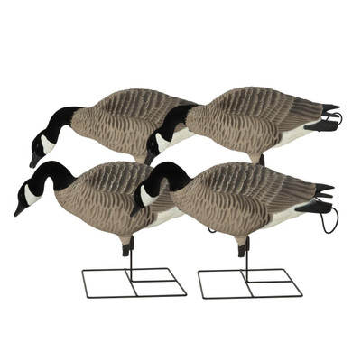 Pro-Grade XD Canada Goose Hunting Decoys - Feeder 4 Pack