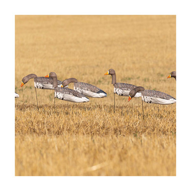 3D Head Pro Grade Specklebelly Goose Windsock Harvester Pack