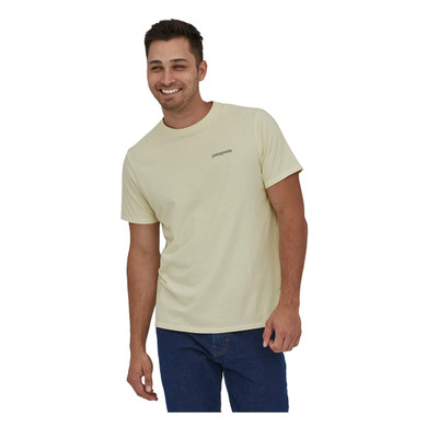 Patagonia Fitz Roy Icon Responsibili-Tee Front Model Image in Birch White