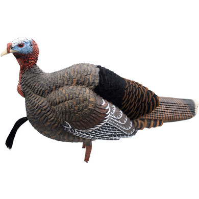 Live Jake Turkey Decoy with Flocked Back