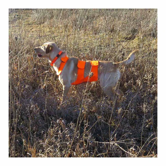 Mud River Dog Chest Protector Lifestyle Image