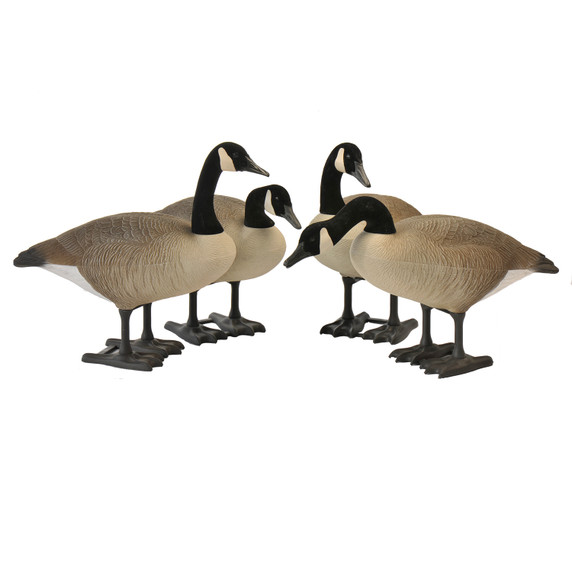 BigFoot Canada Goose Decoys, 4 Pack