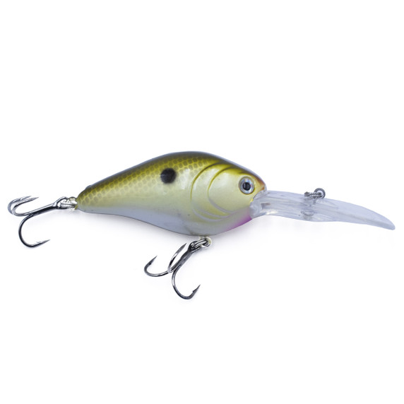 Rogers Sporting Goods Intent 62 Crankbait Image in Tennessee Shad Nuclear Reaction