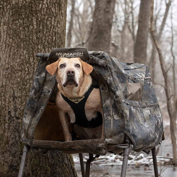 InvisiLab Dog Blind, Optifade Timber InvisiLab Dog Blind, Optifade Timber