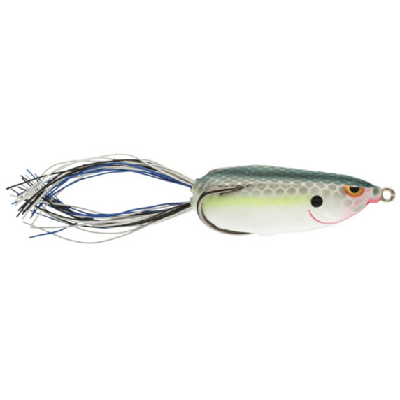 Bronzeye Shad