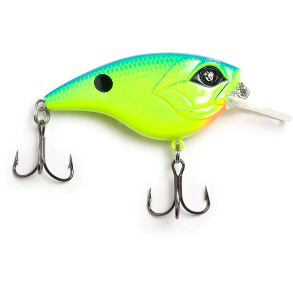 Chartreuse Blue Back
