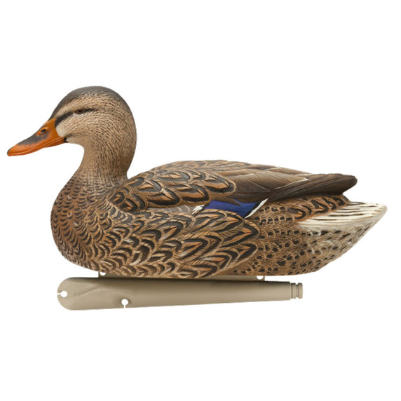 Avian-X Open Water Floating Mallard Duck Decoys High Head Hen Image