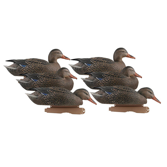 Pro-Grade Series Mallards Early Season - Hen Pack