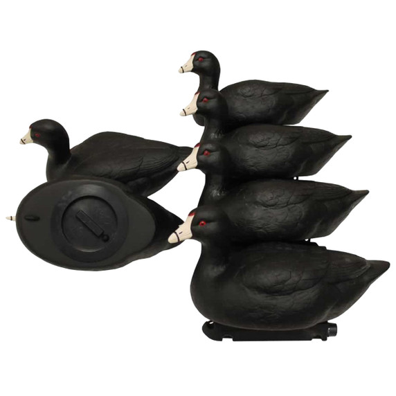 Coot Confidence Duck Decoys, 6 Pack Coot Confidence Duck Decoys, 6 Pack