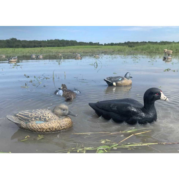 Coot Confidence Duck Decoys, 6 Pack Coot Confidence Duck Decoys, 6 Pack