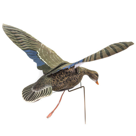 Clone Mallard Hen Flapping Decoy