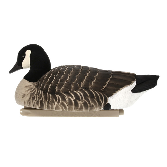 Single Side Low Head Image of the Avian-X Topflight Lesser Canada Goose Floater Decoy.