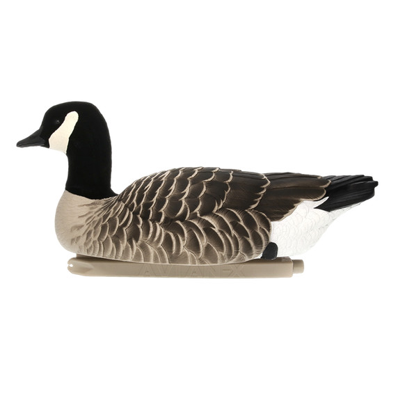 Single Side Image of the Avian-X Topflight Lesser Canada Goose Floater Decoy.