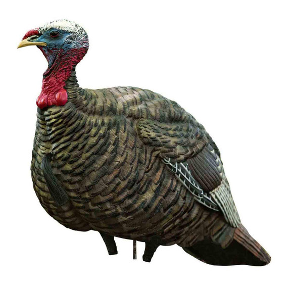 Avian-X LCD Quarter Strut Jake Turkey Decoy Image