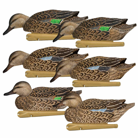 Avian-X Topflight Floating Early Season Teal - 6 Pack Image