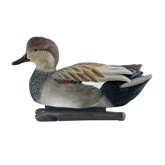 Topflight Floating Gadwall Duck Decoys - 6 Pack