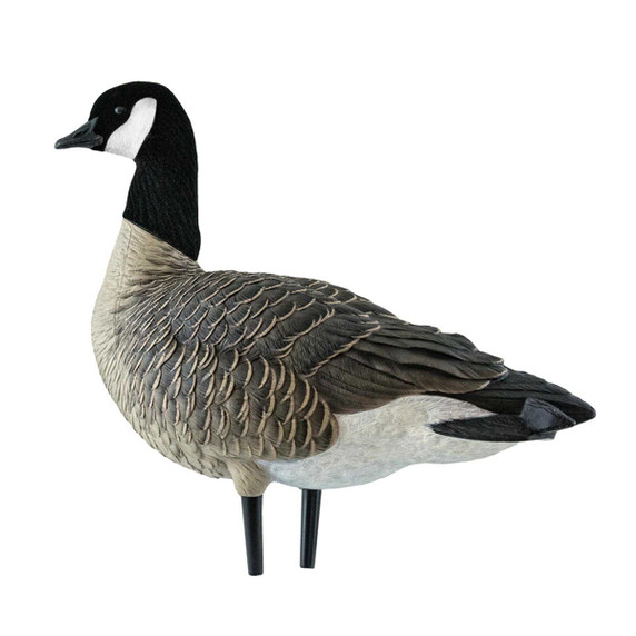 AXP Outfitter Lessers Canada Goose Decoys with 12-Slot Decoy Bag, 12 Pack